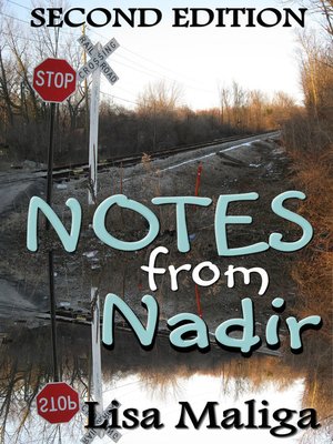 cover image of Notes from Nadir